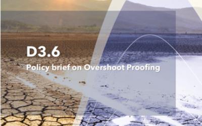 D3.6 Policy brief on Overshoot Proofing