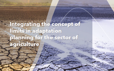 Integrating the concept of limits in adaptation planning for the sector of agriculture